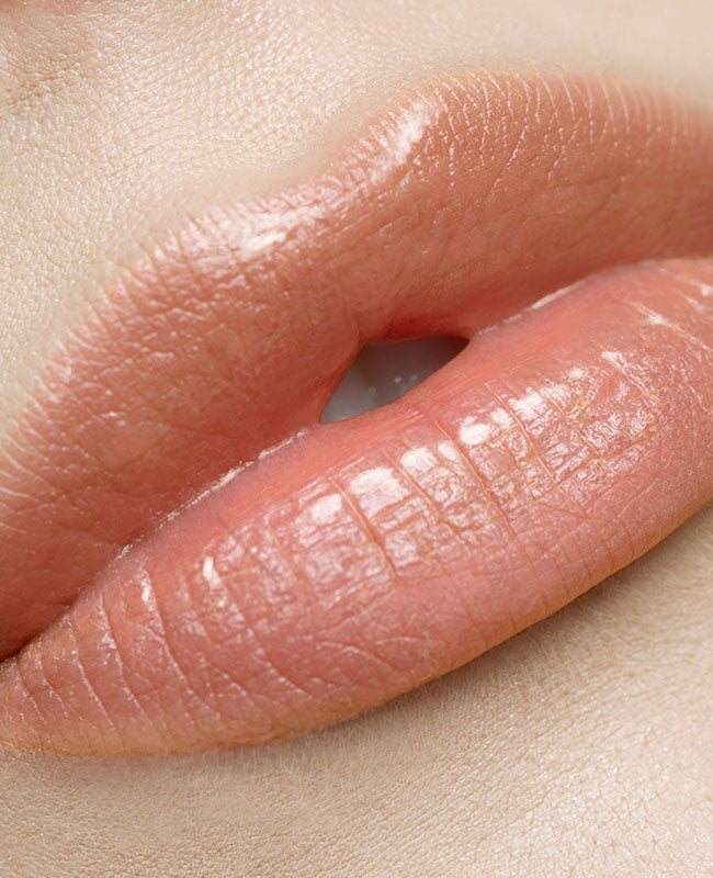 Radiant Lip Gloss – Light Nude